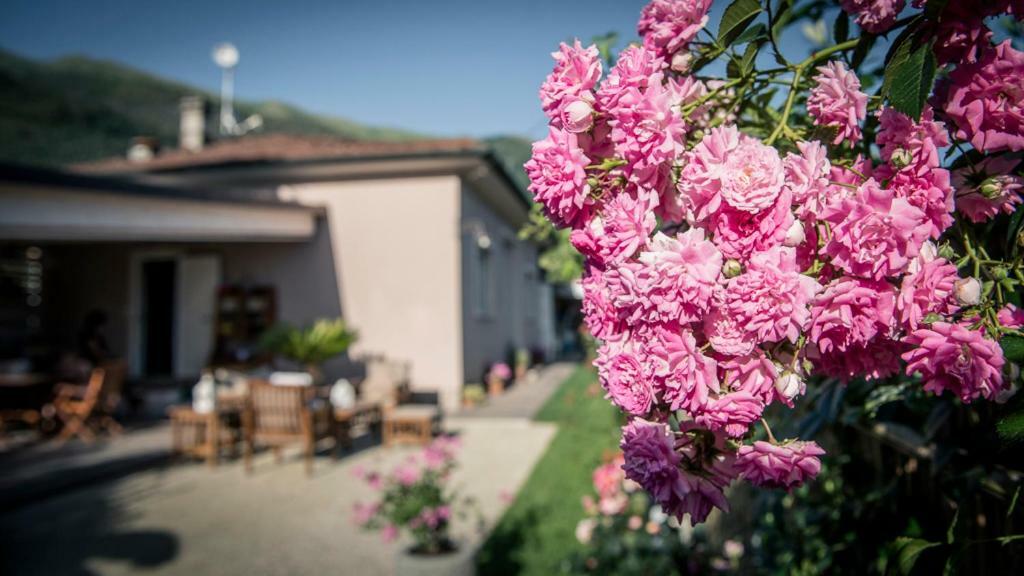 Villa Casa Vittoria Camaiore Exterior foto